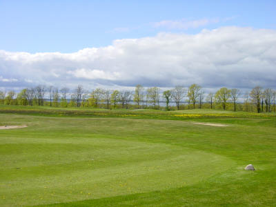 dsc00017-3.jpg