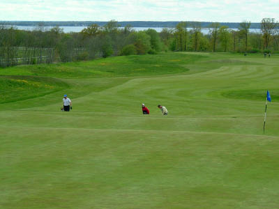 dscf0077.jpg
