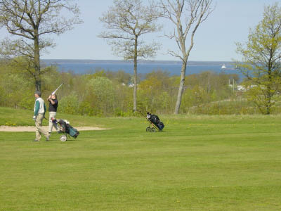 dsc00048.jpg