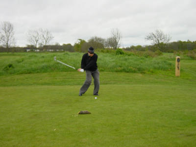 dsc00010-3.jpg