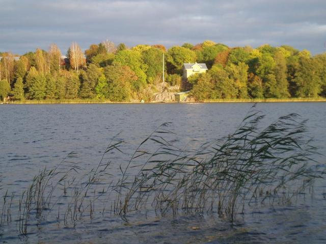 p9281398.jpg