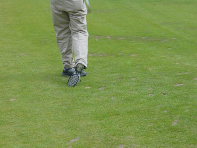 dsc00011-2.jpg