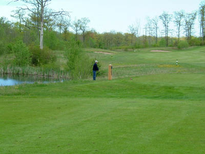 dscf0029.jpg