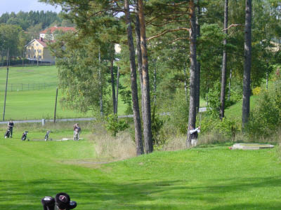 dsc00010-6.jpg