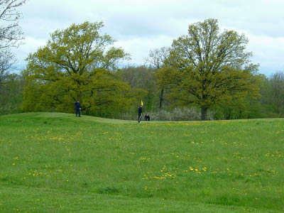 dscf0011.jpg