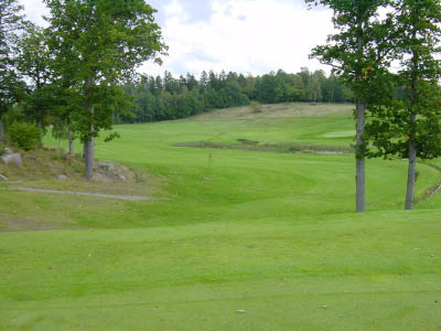 dsc00043-3.jpg