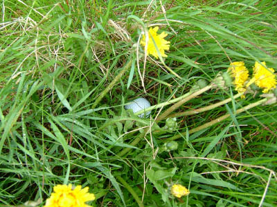 dscf0024.jpg