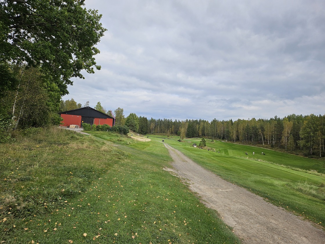 20250920_150315.jpg