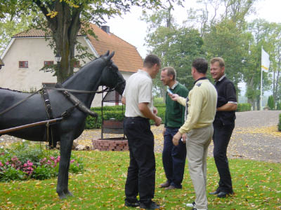 dsc00036-3.jpg