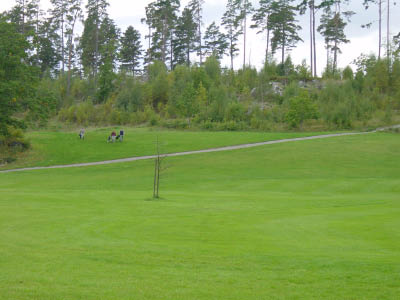 dsc00011-6.jpg