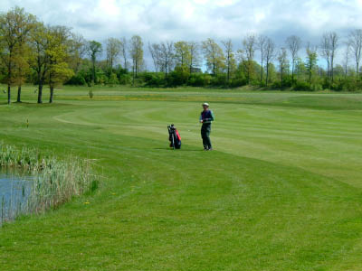 dscf0035.jpg